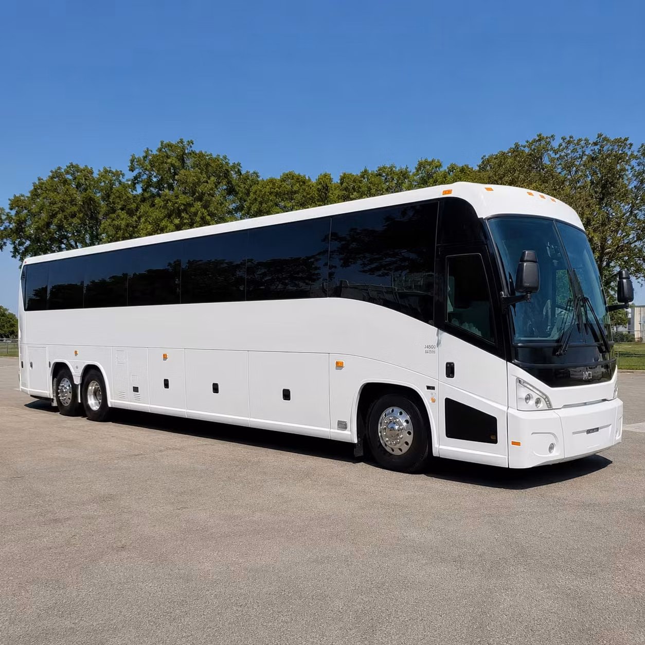 bachelorette parties birthdays and private groups ride in style